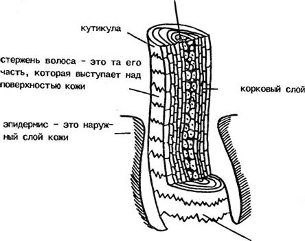 хорошим настоев0